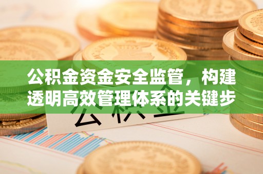 蒲城公积金资金安全监管，构建透明高效管理体系的关键步骤