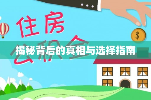 蒲城揭秘背后的真相与选择指南