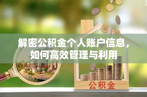 蒲城解密公积金个人账户信息，如何高效管理与利用