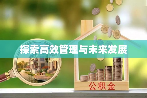 蒲城探索高效管理与未来发展
