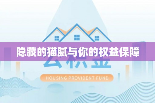 蒲城隐藏的猫腻与你的权益保障