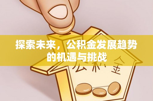 蒲城探索未来，公积金发展趋势的机遇与挑战