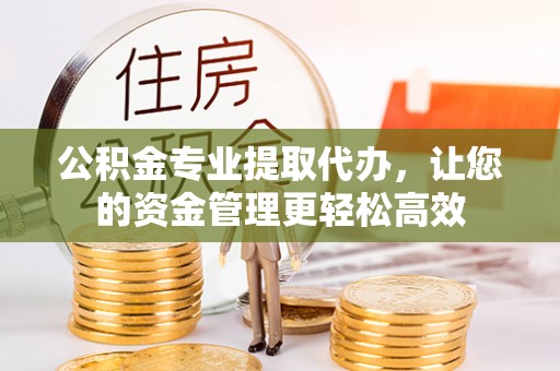 蒲城公积金专业提取代办，让您的资金管理更轻松高效