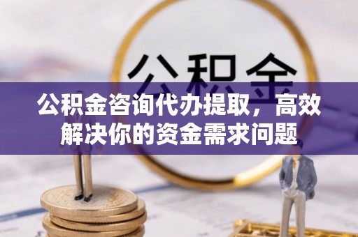 蒲城公积金咨询代办提取，高效解决你的资金需求问题