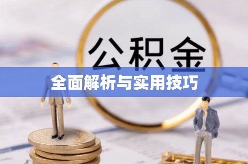 蒲城全面解析与实用技巧