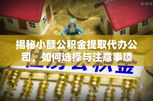 蒲城揭秘小额公积金提取代办公司，如何选择与注意事项