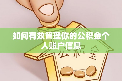 蒲城如何有效管理你的公积金个人账户信息