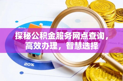 蒲城探秘公积金服务网点查询，高效办理，智慧选择