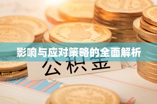 蒲城影响与应对策略的全面解析