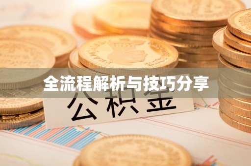 蒲城全流程解析与技巧分享