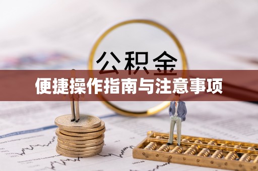 蒲城便捷操作指南与注意事项