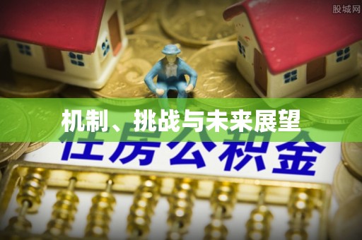 蒲城机制、挑战与未来展望